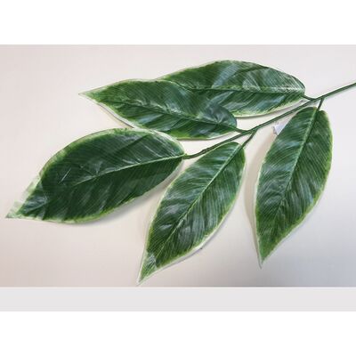 Liść mango gałązka 60 cm