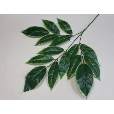 Liść mango gałązka 76 cm