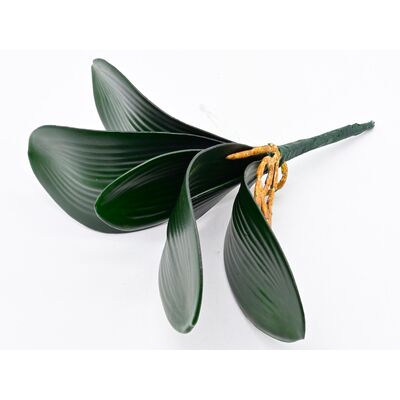 Liść storczyka 24 cm