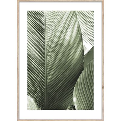 Obraz ARTBOX DIGI 50 x 70 cm BR002 MACRO