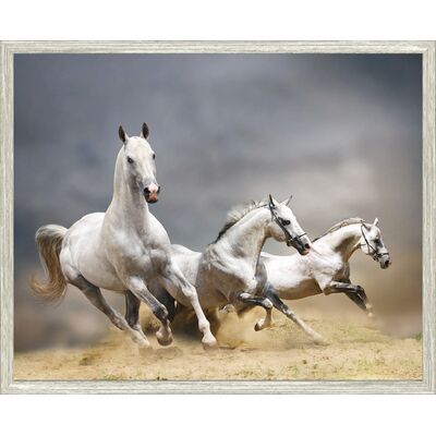 Obraz 40 x 50 cm K4050,005