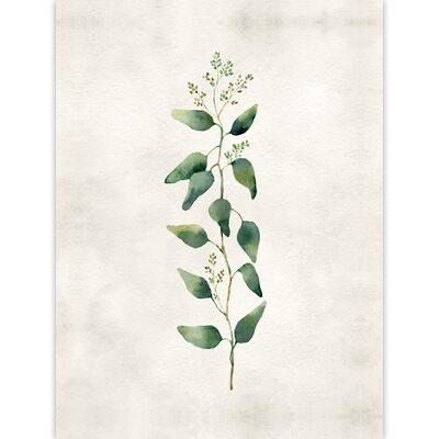 Obraz 50 x 70 cm płótno 5070,001