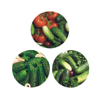 Komplet zakrętek ⌀66 4z ogórek 10 sztuk