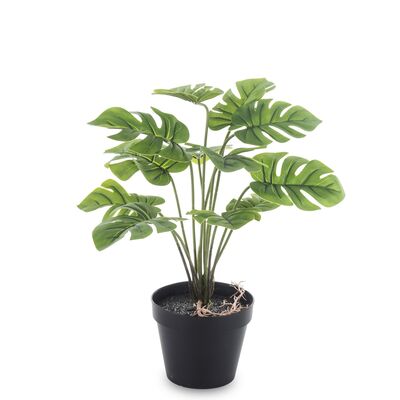 Roślina dekoracyjna monstera sztuczna 40 cm