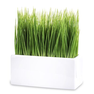 Roślina dekoracyjna trawa 23 cm