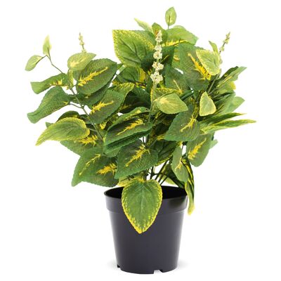 Roślina dekoracyjna kwiat pokrzywka 40 cm