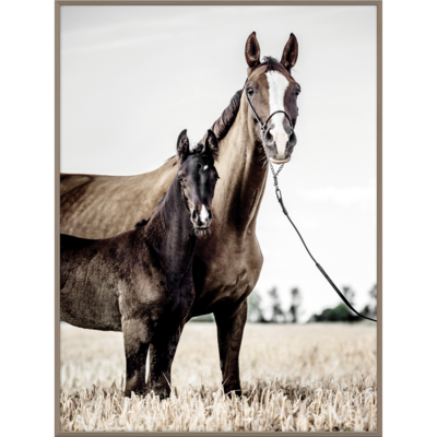Obraz w drewnianej ramie 30 x 40 cm Koń