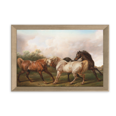 Obraz Paris Pic 50 x 70 cm PP017 Horses