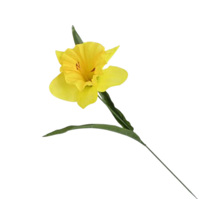 Żonkil pojedynczy 44 cm żółty