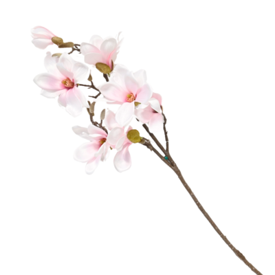 Magnolia gałązka 88 cm