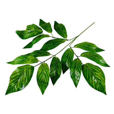 Liść mango gałązka 76 cm