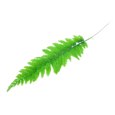 Liść paproci 40 cm pojedynczy zielony