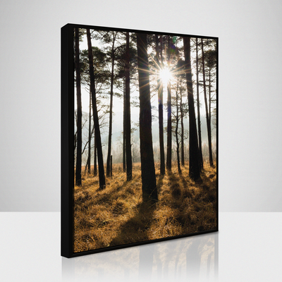 Obraz 50 x 70 cm SB 086L18,37,001