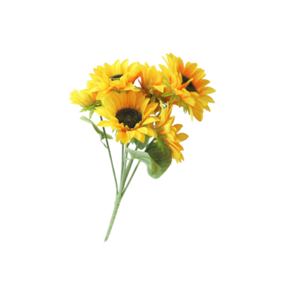 Buket słoneczników 7 kwiatów 50 cm żółty