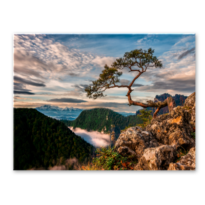 Obraz Canvas 85 x 113 cm ST700 Sokolica