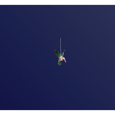 Lampka wisząca kolibry