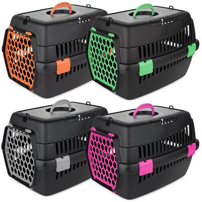 Transporter Teddy mix kolor M