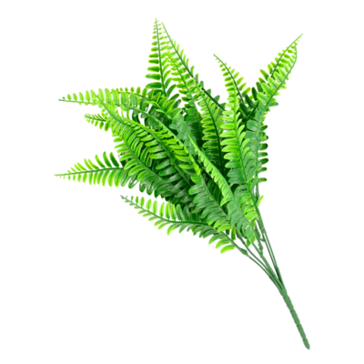 Gałązka paproci 38 cm zielona