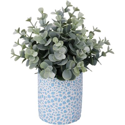 Sukulent w doniczce 23 cm jasnozielony