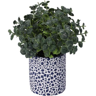 Sukulent w doniczce 23 cm ciemnozielony