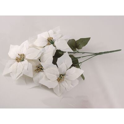 Gwiazda betlejemska bukiet 5 sztuk biały