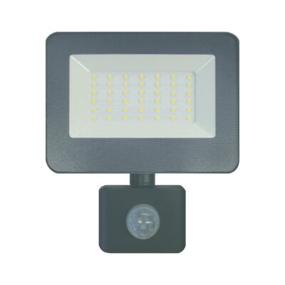 Naświetlacz ORO diodo 30 W G czujnik PIR EXT zimna biel CW