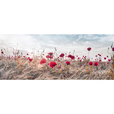 Obraz Canvas 60 x 150 cm ST604 Poppies