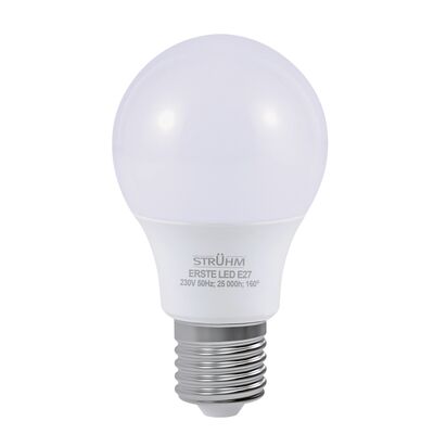 Lampa z diodami ERSTE led E27 10 W CW STRÜHM