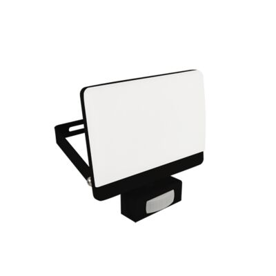 Naświetlacz z czujnikiem ruchu BRYZA LED S 50 W black neutralna biel nW strühm