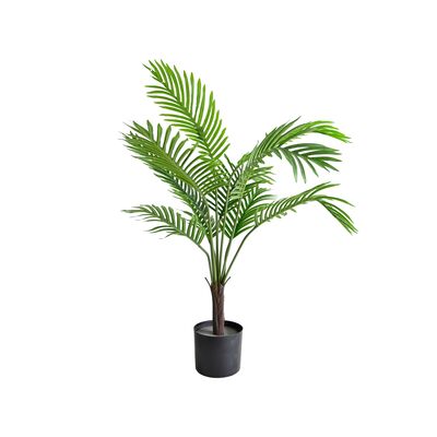 Palma w doniczce 60 cm wysokość 80 cm