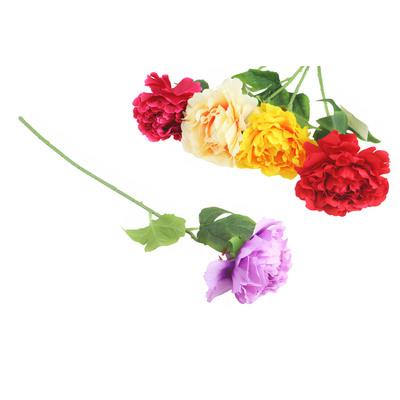 Gałązka piwonii 50 cm mix