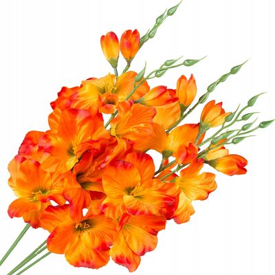 Bukiet mieczyków 60 cm mix