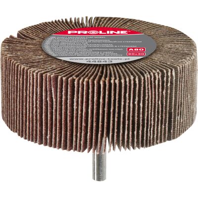 Ściernica listkowa trzpieniowa A60 60 x 30 Proline