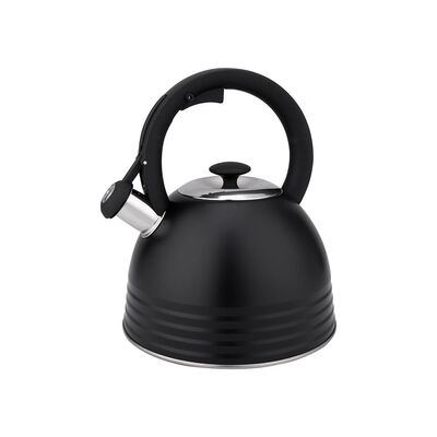 Czajnik nierdzewny Terrano 2,5 l czarny