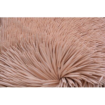 Wykałaczki w beczułce 150 sztuk