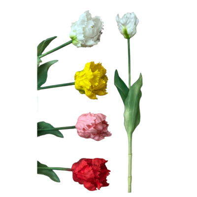 Tulipan papuzi 42 cm mix