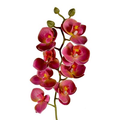 Storczyk 75 cm czerwony