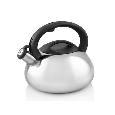 Czajnik nierdzewny Antonio 2,5 l srebrny