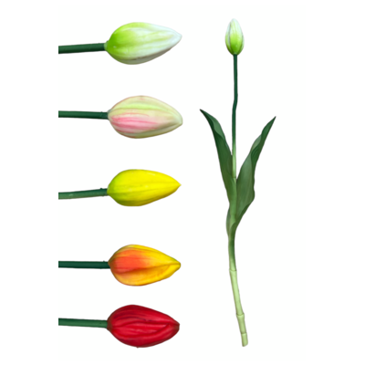 Tulipan 40 cm mix