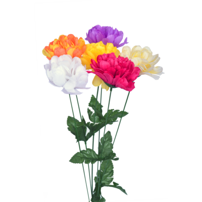 Chryzantema 40 cm mix