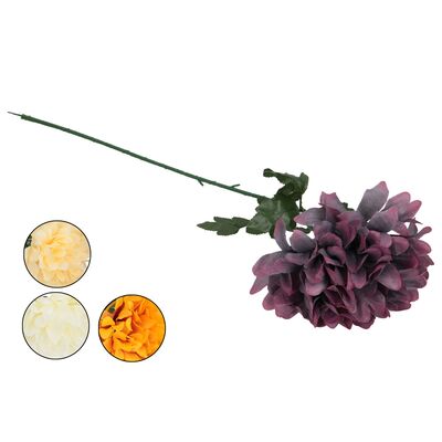 Chryzantema 75 cm mix