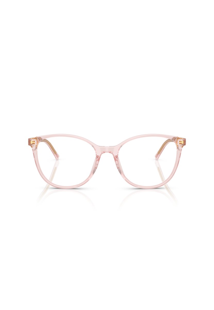 Dolce & Gabbana 3425 VISTA donna Acetato