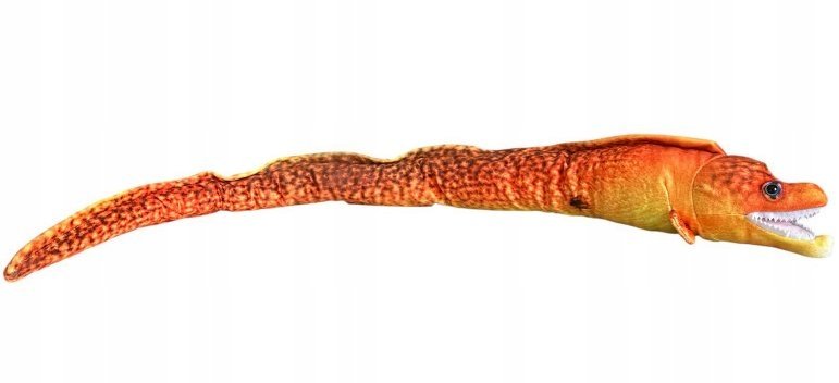 Maskotka Murena Pomarańczowa Ryba DUBI - 80cm
