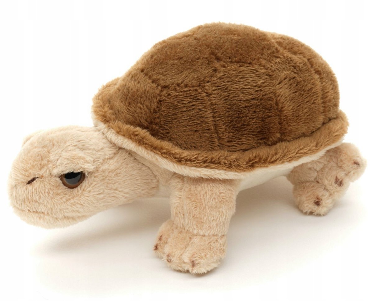 Maskotka Żółw Lądowy - 14cm