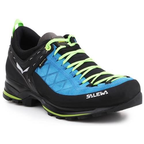 Buty męskie Salewa Ms Mtn Trainer 2 Gtx Rozmiar butów (UE): 42,5 / Kolor: niebieski