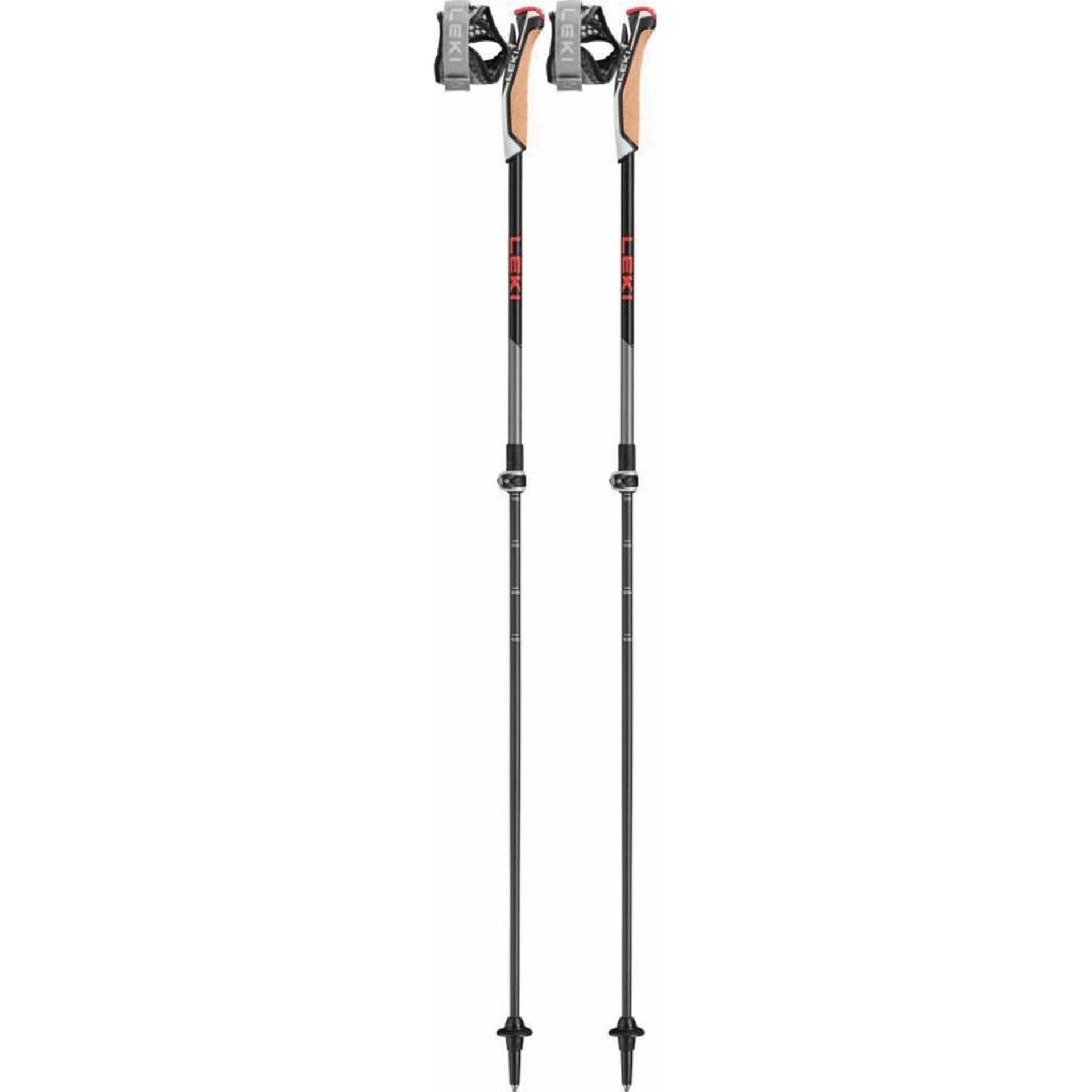 Kije nordic walking LEKI Instructor Lite czarno-srebrne 65326341