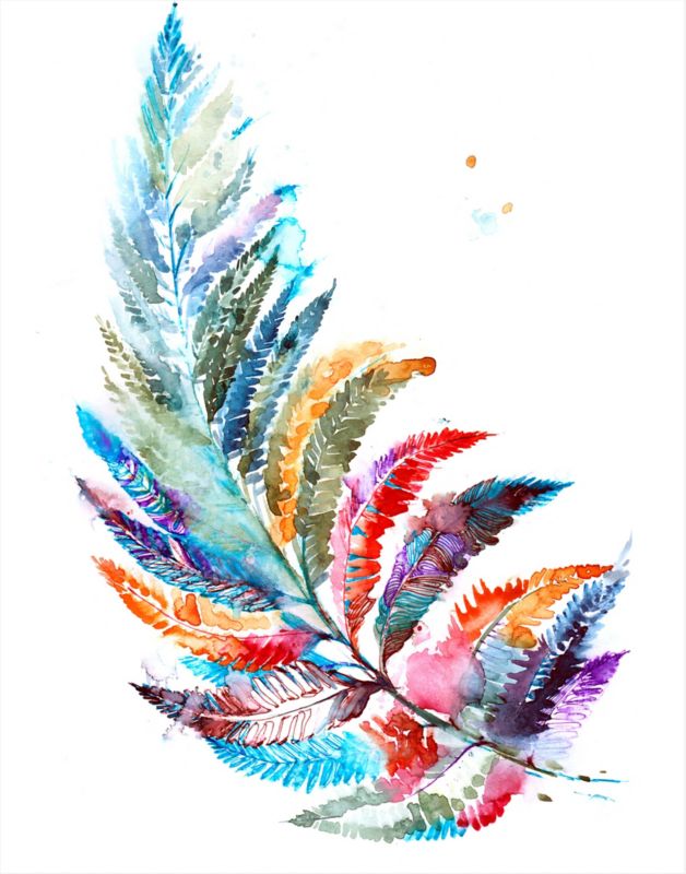 Obraz Paproć 40 x 50 cm