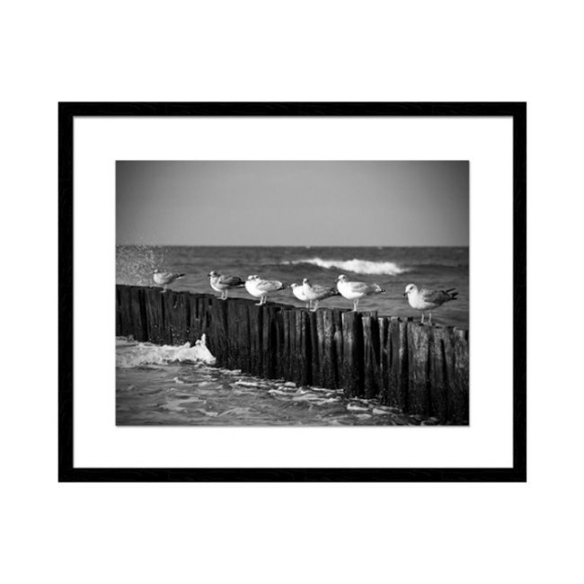 Obraz Mewy 40 x 50 cm