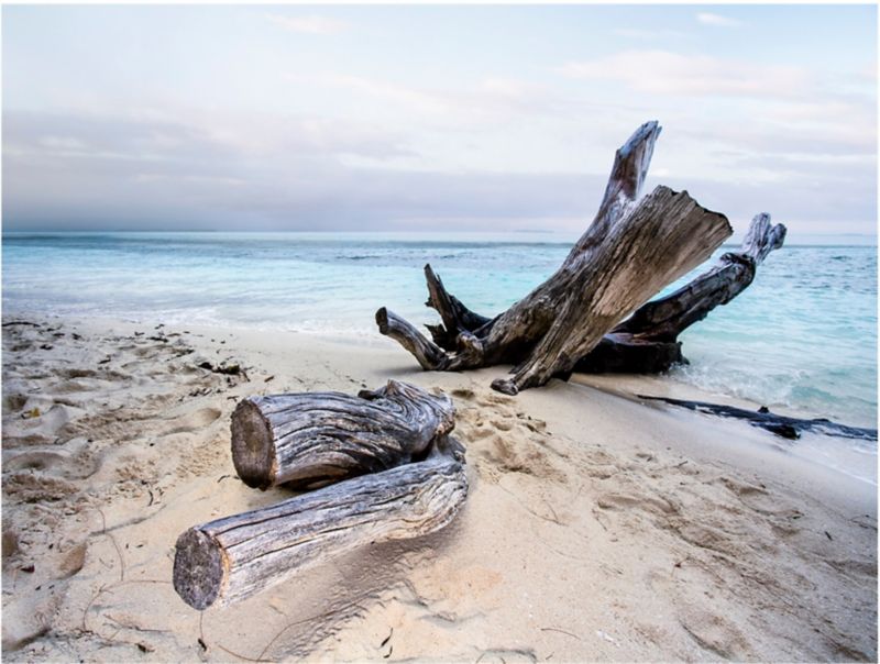 Obraz Canvas 85 x 113 cm Views Branch