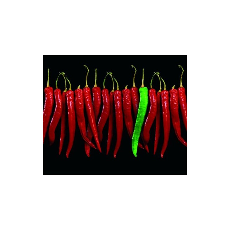 Panel kuchenny szklany chilli 2 z 3 Dubiel Vitrum